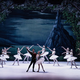 Labodje jezero v izvedbi ukrajinske balerine, ki je dobila novo priložnost