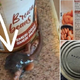 STRAŠLJIVA NAKUPOVALNA IZKUŠNJA: V konzervi je bil del podgane z repom (FOTO)