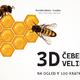Ogled 3D modela kranjske čebele in predstavitev čebelarja