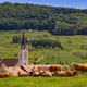 Slovenija je dežela vasi, te pa se v 21. stoletju soočajo s posebnimi izzivi