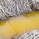 FOTO in VIDEO: V Hudinjo se je iztekala rumena snov, za kaj gre?