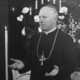 Rožmanov proces: Redka oseba v novejši zgodovini bila tako diskreditirana, kot škof Rožman