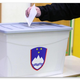 Datum izvedbe posvetovalnih referendumov koalicijsko še neusklajen, svobodnjaki forsirajo 9. junij, na dan evropskih volitev